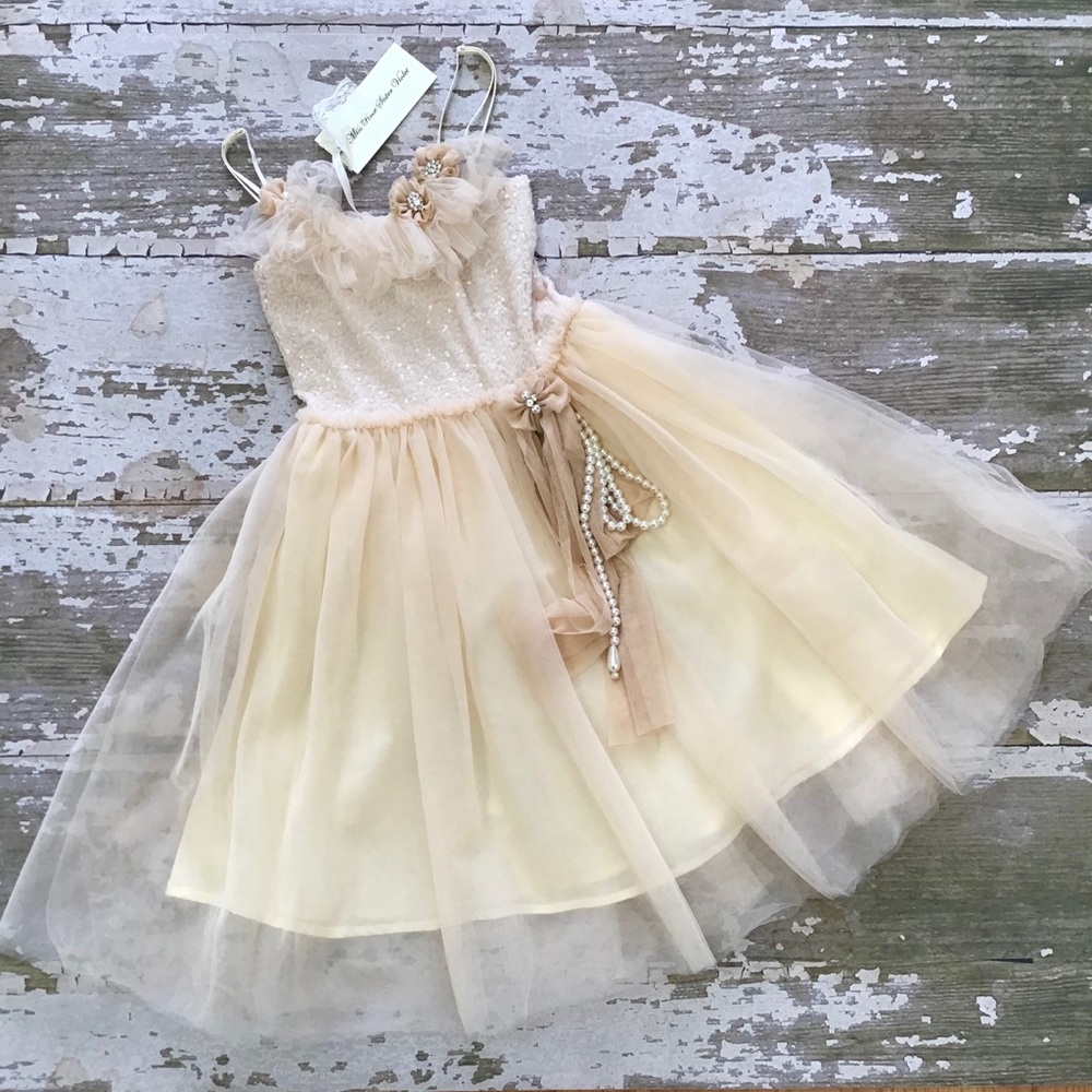 Miss Sister Rose Violet Cream Sequin & Tulle Dress